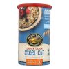 Nature's Path Oats - Organic - Steel Cut - Quick - Case Of 6 - 24 Oz