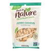 Back To Nature Cashew - Sea Salt Roasted Jumbo - Case Of 9 - 9 Oz.