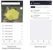 GPS Cards for Whistle Go Location Tracker for Pets / Phone App / Geofences