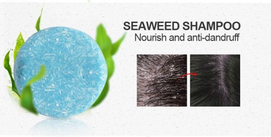 PURC Hair Shampoo Bar Ginger Polygonum Cold Processed Soap Smoothing Cleaning Anti Dandruff Soap Bar Soft Hair Care (Function: 1pcs Seaweed)